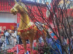 -越秀西湖花市(广州城市广场花卉店)