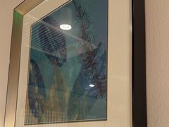 -黑松白鹿(金融街店)
