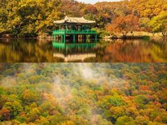 -颐和路民国时期公馆风貌区