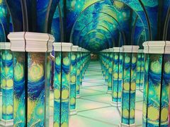 -天津梵高星空艺术馆(天河城旗舰店)
