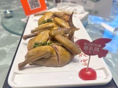 -朱记乳鸽王·非遗石岐乳鸽·全鸽宴(大兴旗舰店)