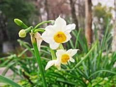 -共青国家森林公园-售票处