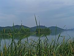 -东湖落雁景区