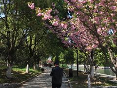 -花溪公园