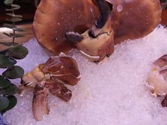 -东海怡品海鲜豆捞(星街坊店)