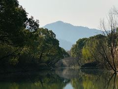 -西溪国家湿地公园