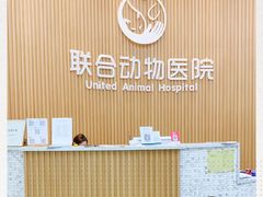 -联合动物医院(光谷诊疗中心)