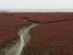-红海滩国家风景廊道
