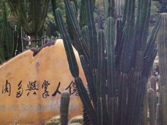 -深圳仙湖植物园