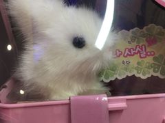 -TOYSRUS玩具反斗城(苏州中心店)
