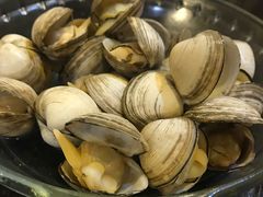 蚬子（推荐）-鲜鲜·鲅鱼圈海鲜(于洪店)