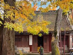 -少华山国家森林公园