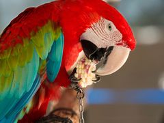 -大连老虎滩海洋公园