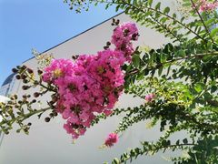 -北京理工大学(中关村校区)