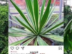 -郑州植物园