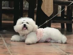 -五邑人家(江门店)