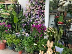 -FEI FEI FLOWER鲜花店·气球派对·宝宝宴布置(虹口德必运动Loft店)