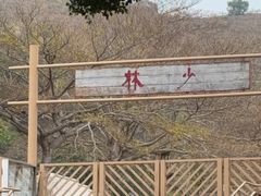 -大澳