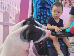 -渔岛海洋度假区