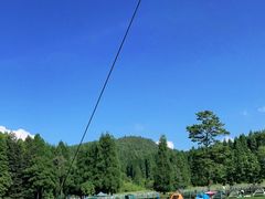 -武陵山森林公园