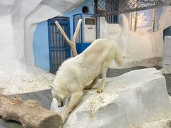 -南京海底世界