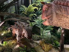 -陕西自然博物馆