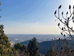 -府君山公园