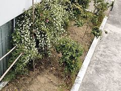 -宁波市保国寺古建筑博物馆