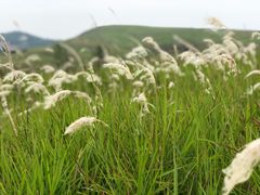 -恋山坝上草原
