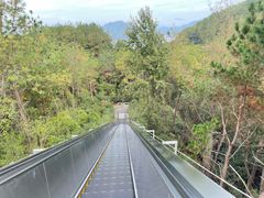 -千岛湖天屿景区