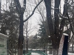 -顺城公园