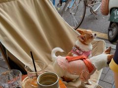 -Joymean coffee.见面咖啡