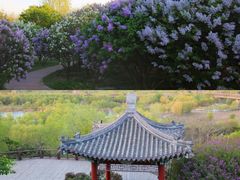 -河北省园博园