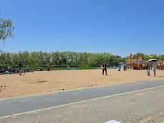 -大兴滨河森林公园