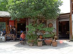 -青城甲(青城山店)