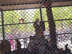 -长白岛森林公园