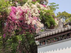 -深圳国际园林花卉博览园