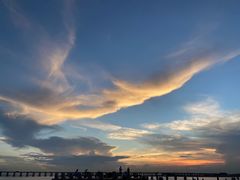 -宝安西湾红树林湿地公园