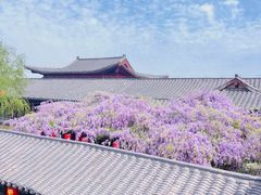 -清明上河园