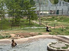-青藏高原野生动物园