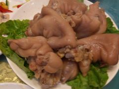 -丁老爷子苏香圆