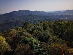 -水濂山森林公园