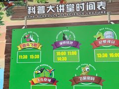 -广州长隆飞鸟乐园