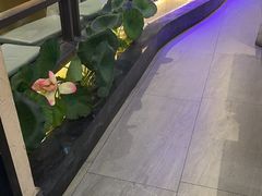 -客家班·客家菜(嘉禾金铂店)