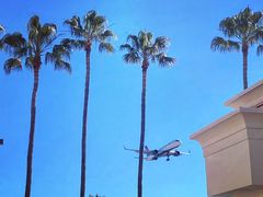-In-N-Out Burger(LAX)