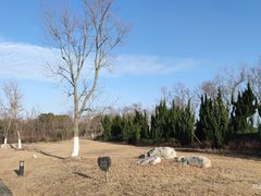 -春花秋色城市公园