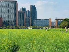 -光明小镇欢乐田园