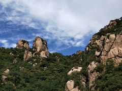 -大岭沟猕猴桃谷风景区