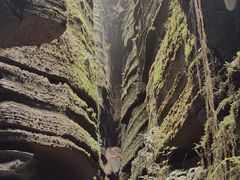 -梭布垭石林景区