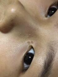 -薇薇安花系SPA